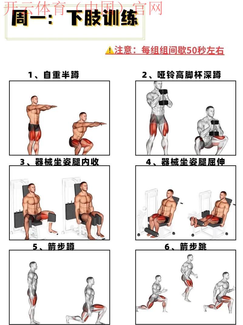 云体育app,解锁个性化健身训练计划 云体育app,解锁个性化健身训练计划